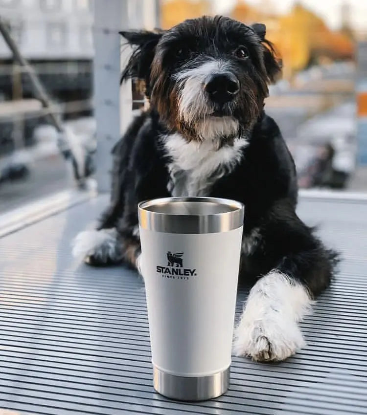 Premium 502ml Insulated Stainless Steel Coffee Mug – Aesthetic Handled Tumbler for Hot & Cold Drinks