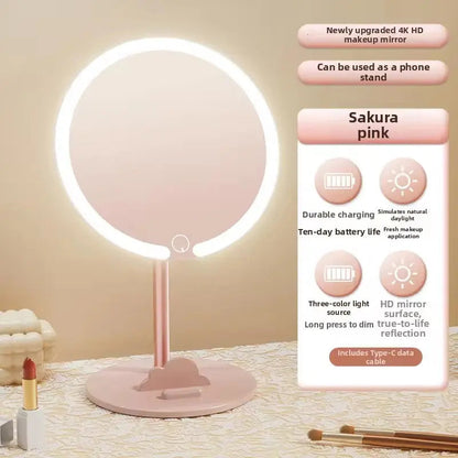Rechargeable LED Makeup Mirror with Phone Holder - 3 Color Light